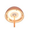 Reality Ortiz Tischleuchte LED Orange, 1-flammig