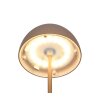 Reality Ortiz Tischleuchte LED Braun, 1-flammig