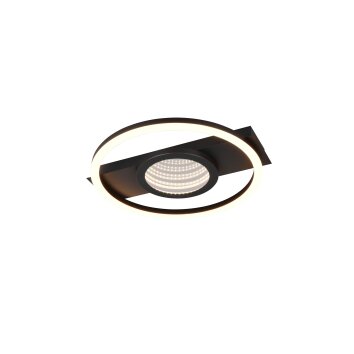 Reality Wheeler Deckenleuchte LED Schwarz, 1-flammig