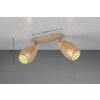 Reality Bidar Deckenspot Braun, 2-flammig