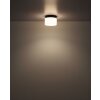 Globo Trenton Deckenleuchte LED Schwarz, 1-flammig