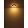 Globo Hedi Deckenleuchte LED Gold, Schwarz, 1-flammig