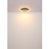 Globo Hedi Deckenleuchte LED Gold, Schwarz, 1-flammig