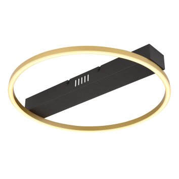 Globo Luffy Deckenleuchte LED Gold, Schwarz, 1-flammig