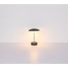 Globo Tomo Tischleuchte LED Anthrazit, 1-flammig