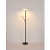 Globo Stanford Deckenleuchte LED Schwarz, 1-flammig