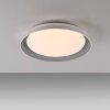 Leuchten Direkt SATI Deckenleuchte LED Grau, 1-flammig