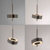 Paul Neuhaus Q-Rotate Pendelleuchte LED Braun, 5-flammig, Fernbedienung