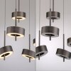 Paul Neuhaus Q-Rotate Pendelleuchte LED Braun, 5-flammig, Fernbedienung