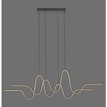 Paul Neuhaus Altitude Pendelleuchte LED Schwarz, 1-flammig