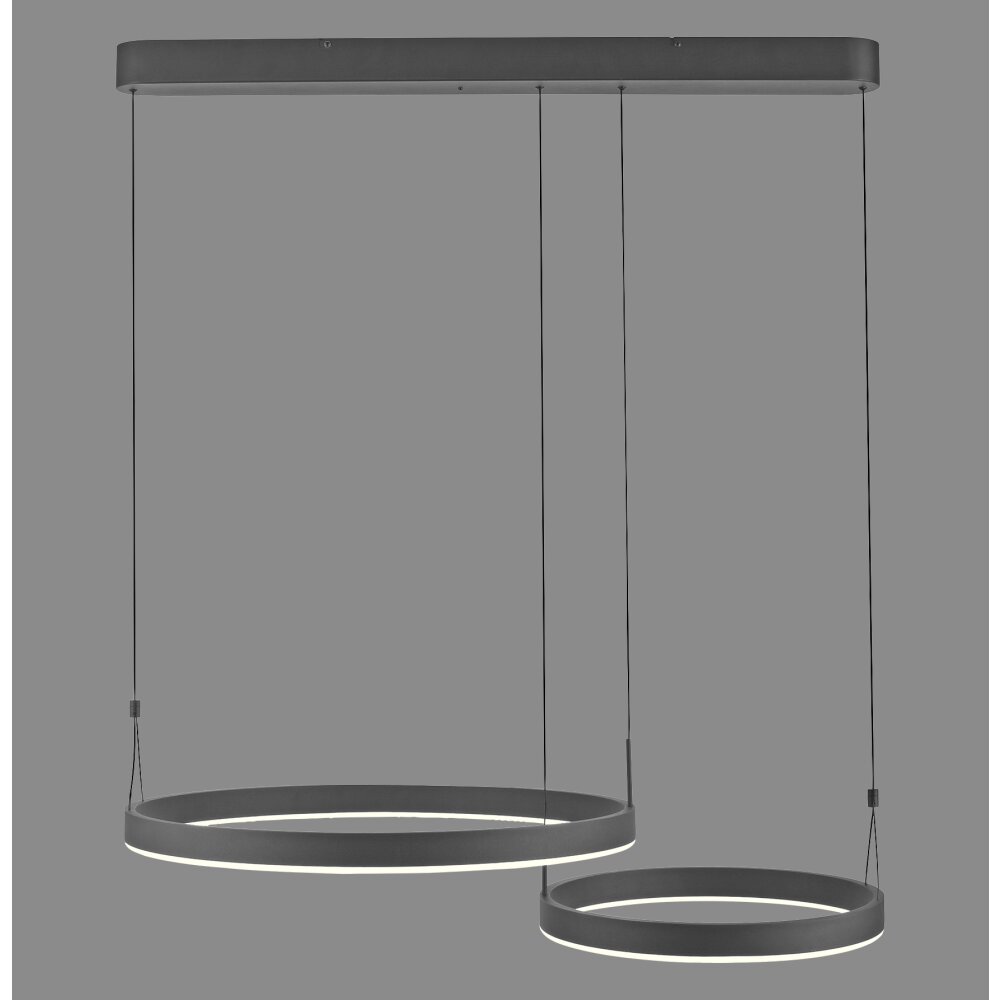 Paul Neuhaus Esko Pendelleuchte LED Schwarz, 2-flammig, Fernbedienung main product photo
