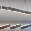 Paul Neuhaus Adriana Round Pendelleuchte LED Schwarz, 2-flammig