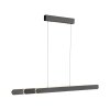 Paul Neuhaus Adriana Round Pendelleuchte LED Schwarz, 2-flammig