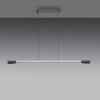 Paul Neuhaus Hoop Pendelleuchte LED Anthrazit, Silber, 1-flammig