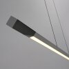 Paul Neuhaus Hoop Pendelleuchte LED Anthrazit, Silber, 1-flammig