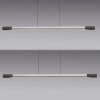 Paul Neuhaus Hoop Pendelleuchte LED Anthrazit, Silber, 1-flammig
