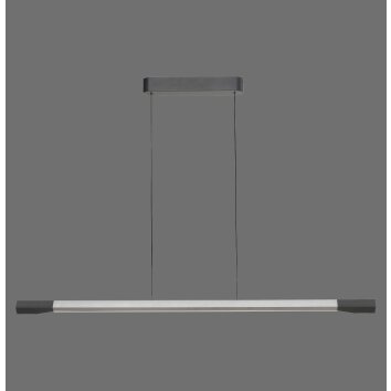 Paul Neuhaus Hoop Pendelleuchte LED Anthrazit, Silber, 1-flammig