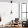 Paul Neuhaus Q-Kon Pendelleuchte LED Braun, 1-flammig, Fernbedienung