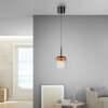 Paul Neuhaus Q-Kon Pendelleuchte LED Braun, 1-flammig, Fernbedienung