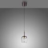 Paul Neuhaus Q-Kon Pendelleuchte LED Braun, 1-flammig, Fernbedienung