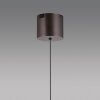 Paul Neuhaus Q-Kon Pendelleuchte LED Braun, 1-flammig, Fernbedienung