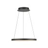 Paul Neuhaus Hoop Pendelleuchte LED Schwarz, 1-flammig