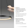 Paul Neuhaus Hoop Pendelleuchte LED Schwarz, 1-flammig