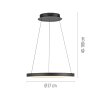 Paul Neuhaus Hoop Pendelleuchte LED Schwarz, 1-flammig