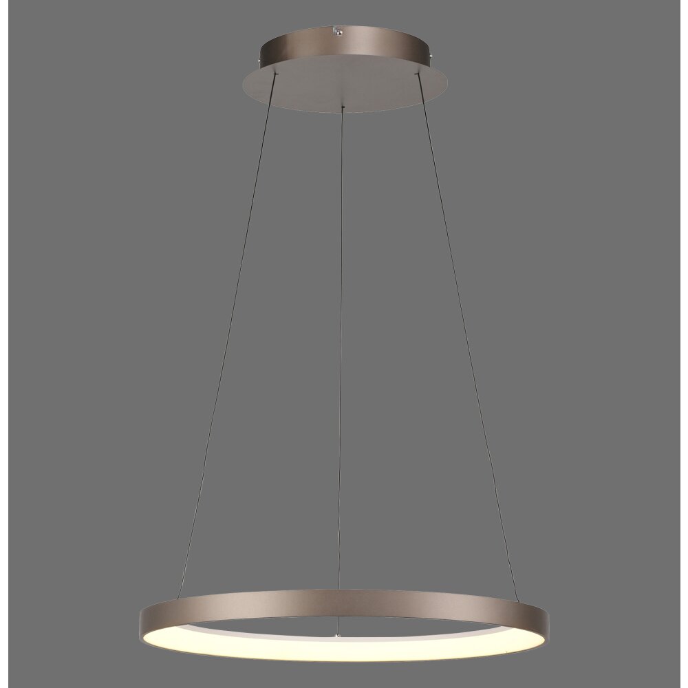 Paul Neuhaus Hoop Pendelleuchte LED Braun, 1-flammig main product photo