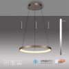 Paul Neuhaus Hoop Pendelleuchte LED Braun, 1-flammig