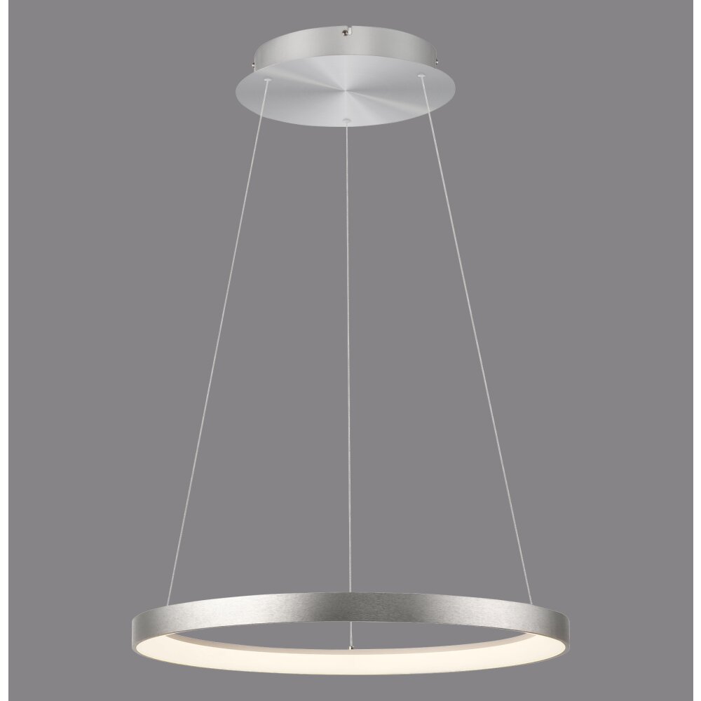 Paul Neuhaus Hoop Pendelleuchte LED Silber, 1-flammig main product photo