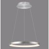 Paul Neuhaus Hoop Pendelleuchte LED Silber, 1-flammig