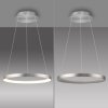 Paul Neuhaus Hoop Pendelleuchte LED Silber, 1-flammig