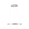 Paul Neuhaus Hoop Pendelleuchte LED Silber, 1-flammig