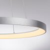 Paul Neuhaus Hoop Pendelleuchte LED Silber, 1-flammig