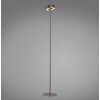 Paul Neuhaus Q-Rotate Stehleuchte LED Braun, 1-flammig, Fernbedienung