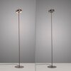 Paul Neuhaus Q-Rotate Stehleuchte LED Braun, 1-flammig, Fernbedienung