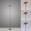 Paul Neuhaus Q-Rotate Stehleuchte LED Braun, 1-flammig, Fernbedienung