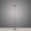 Paul Neuhaus Q-Rotate Stehleuchte LED Braun, 1-flammig, Fernbedienung