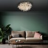Paul Neuhaus Ricicle Deckenleuchte LED Silber, 10-flammig