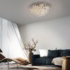 Paul Neuhaus Ricicle Deckenleuchte LED Silber, 10-flammig