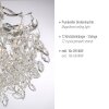 Paul Neuhaus Ricicle Deckenleuchte LED Silber, 10-flammig