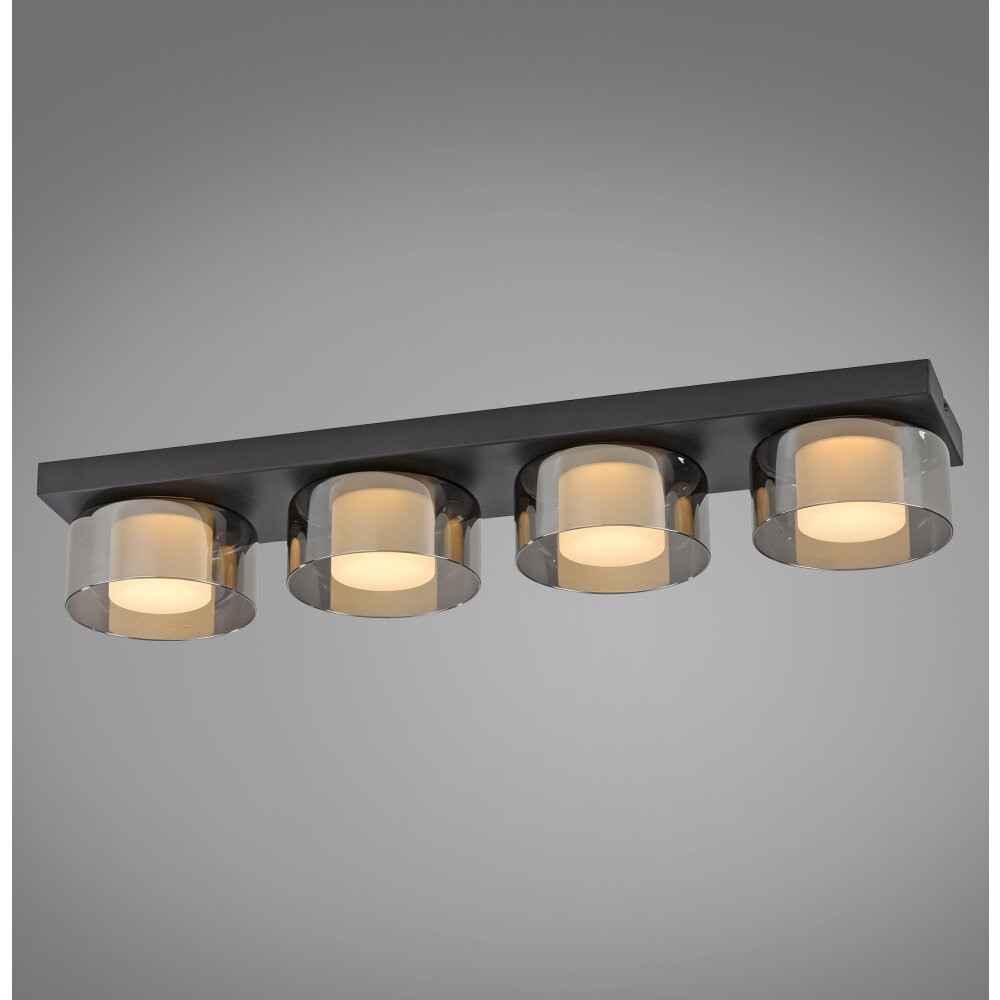 Paul Neuhaus Rika Deckenleuchte LED Schwarz, 4-flammig main product photo