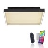 Paul Neuhaus Q-Magong Deckenleuchte LED Schwarz, 1-flammig, Fernbedienung