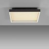 Paul Neuhaus Q-Magong Deckenleuchte LED Schwarz, 1-flammig, Fernbedienung
