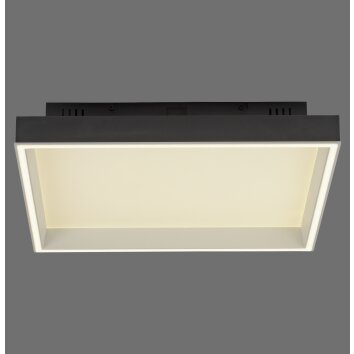 Paul Neuhaus Q-Magong Deckenleuchte LED Schwarz, 1-flammig, Fernbedienung