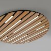Paul Neuhaus Q-Akustik Wand- und Deckenleuchte LED Braun, Schwarz, 1-flammig, Fernbedienung