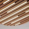 Paul Neuhaus Q-Akustik Wand- und Deckenleuchte LED Braun, Schwarz, 1-flammig, Fernbedienung