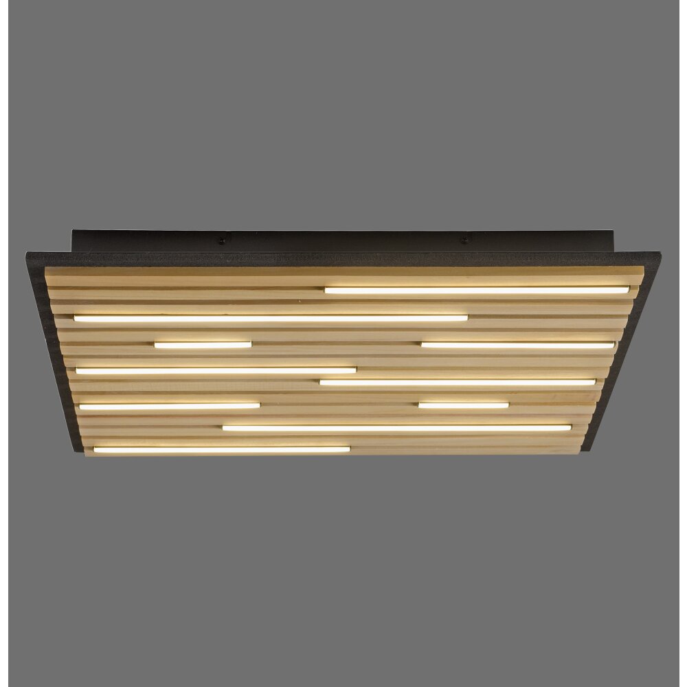 Paul Neuhaus Q-Akustik Wand- und Deckenleuchte LED Braun, Schwarz, 1-flammig, Fernbedienung main product photo