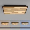 Paul Neuhaus Q-Akustik Wand- und Deckenleuchte LED Braun, Schwarz, 1-flammig, Fernbedienung